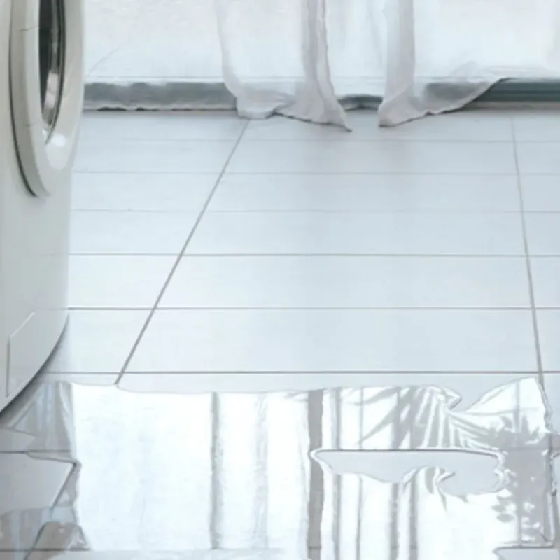Appliance Leak Cleanup in Madison, NC