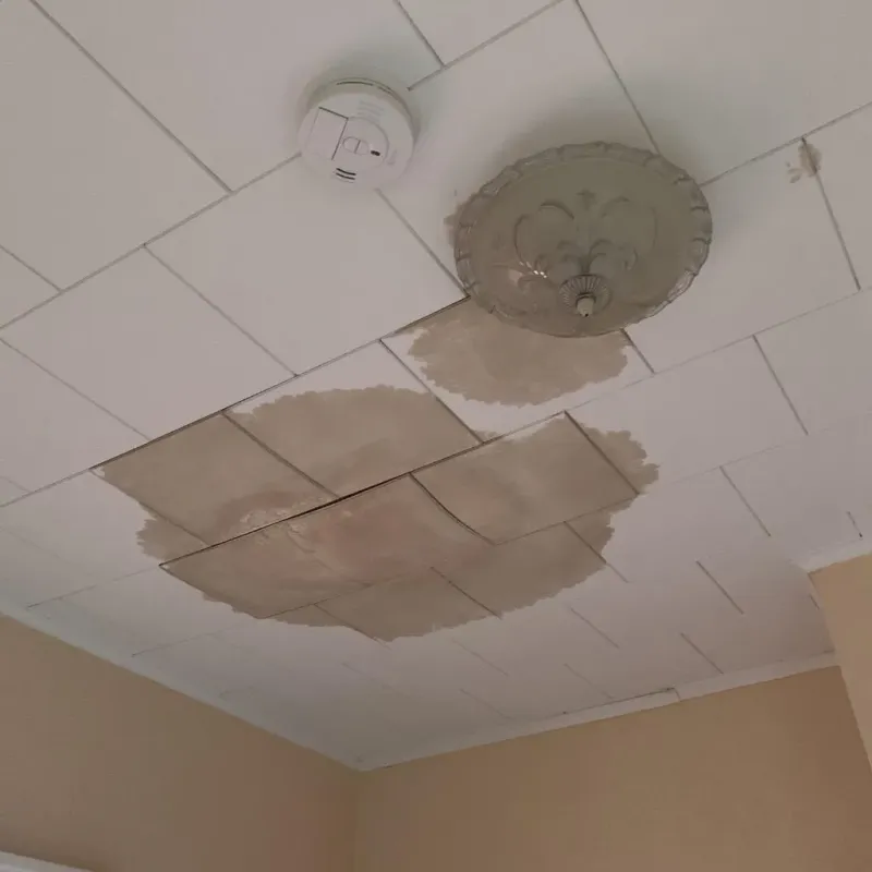 Ceiling Water Damage Repair in Madison, NC