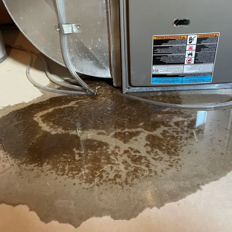 Pipe Burst and Leak Restoration in Madison, NC