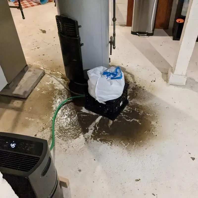 Sewage Backup Cleanup Service in Madison, NC